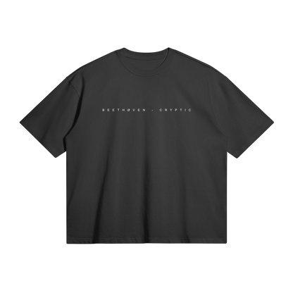 Beethoven cryptic T-shirt