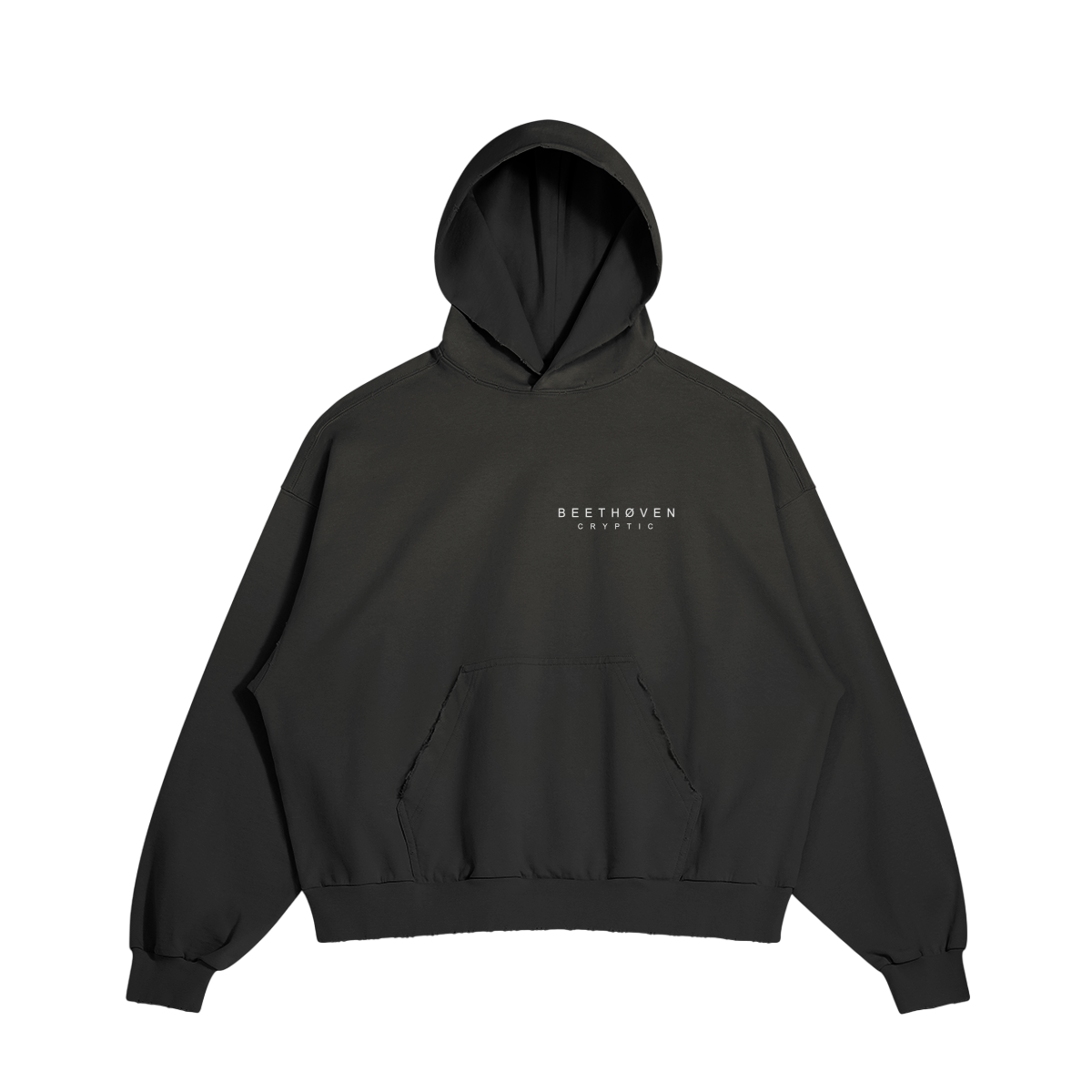 Beethoven cryptic Hoodie