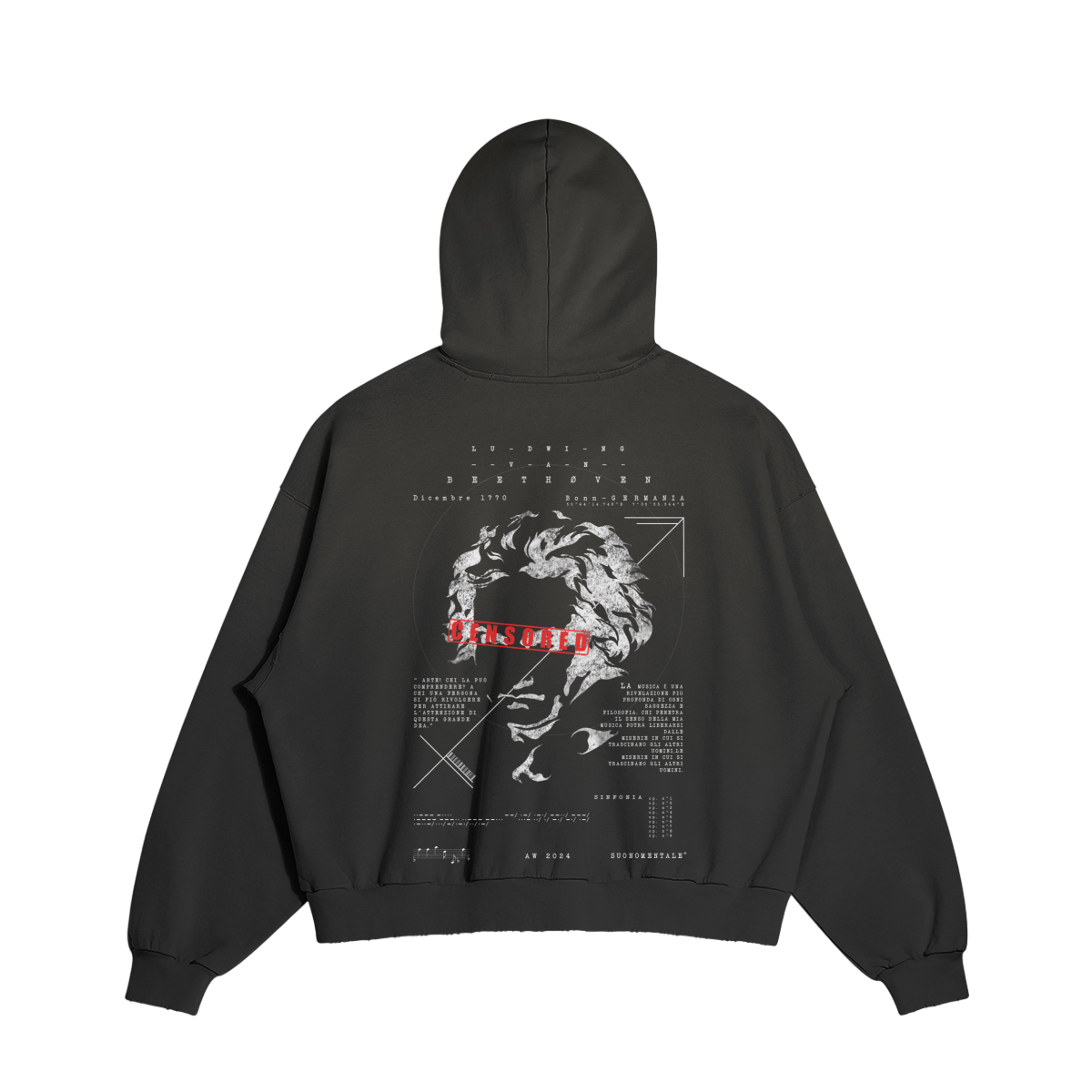 Beethoven cryptic Hoodie