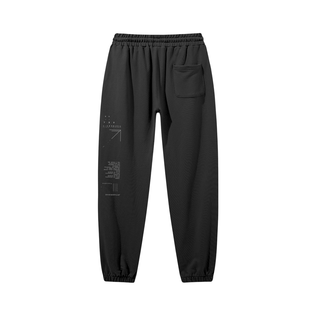 Beethoven cryptic Pant